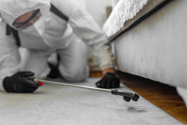 Professional Termite Control technician working in Clay County County, TX